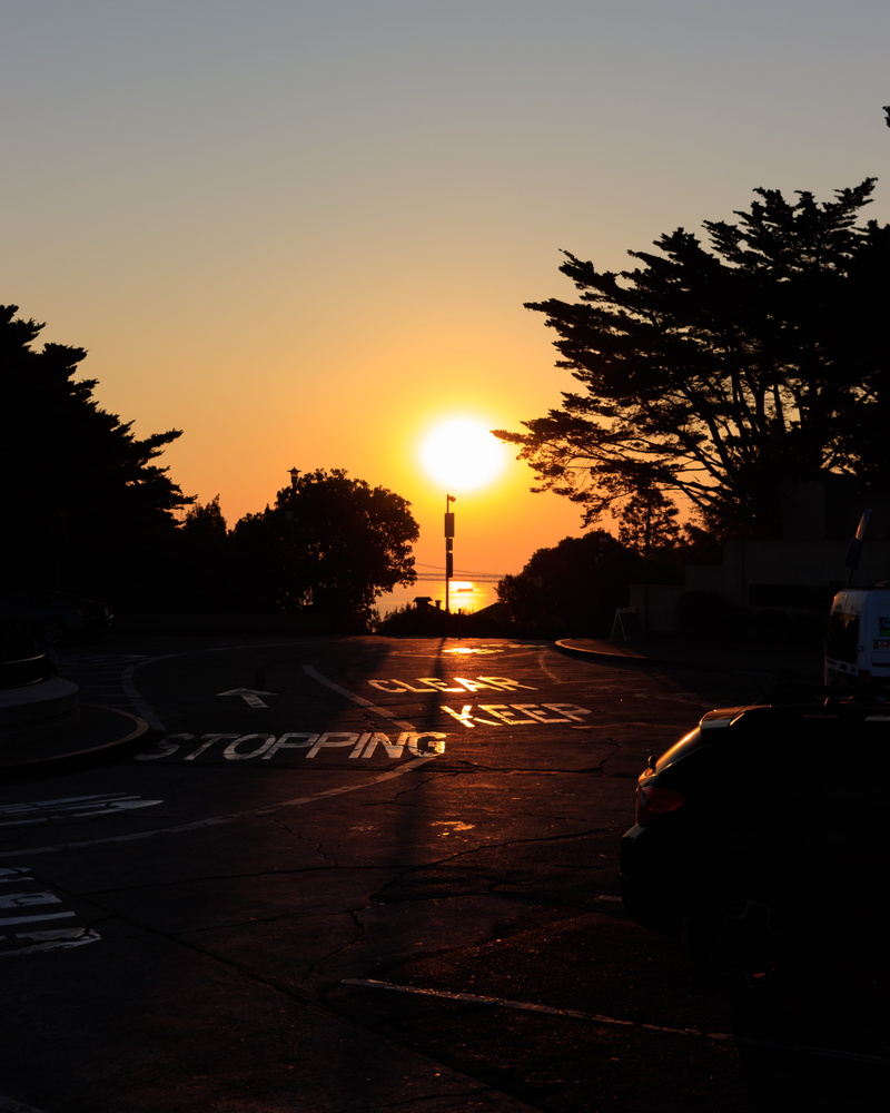 bay area, nature, transportation, plant, outdoors, dawn, usa, lens flare, car, no people, orange color, 4K, sky, road, land vehicle, sun, silhouette, tree