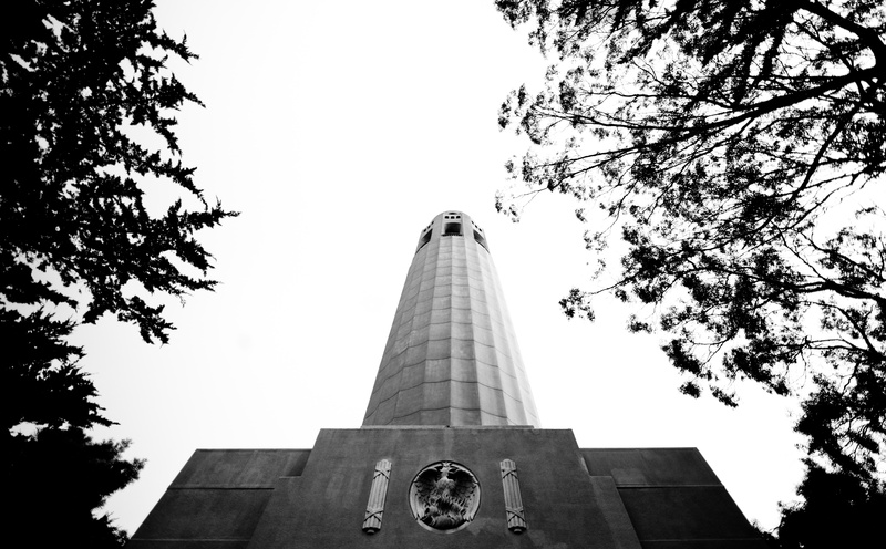 District, low angle view, tree, built structure, nature, concrete, sky, architecture, tall - high, clear sky, waking, united states, day, North Beach, grayscale