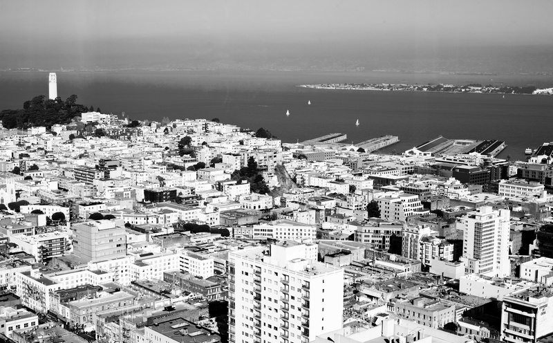 office building exterior, building exterior, no people, aerial view, usa, san, francisco, United States of America, white, Coit Tower, black, buildings