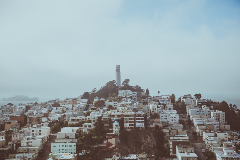park, office building exterior, telegraph, coit, destination, day, built structure, famous, view, residential, outdoors, houses, nature, 1080P, copy space
