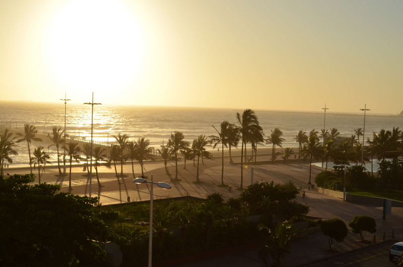 sea, beach, travel destinations, tree, tropical climate, 4K, palm tree, plant, durban north, outdoors, kwa zulu natal, no people, architecture, nature