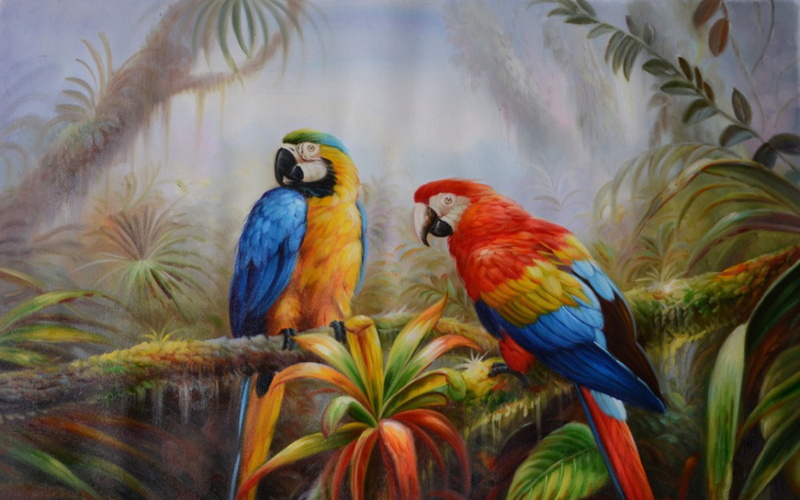  multi colored, pictures, animal, animal themes, group of animals, vertebrate, animals in the wild, plant, jungle, birds, bird, animal wildlife