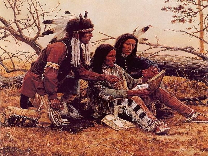 trees, woods, gathered, hd, abstract, native, baves, feathers, americans, native americans, 480P, indians