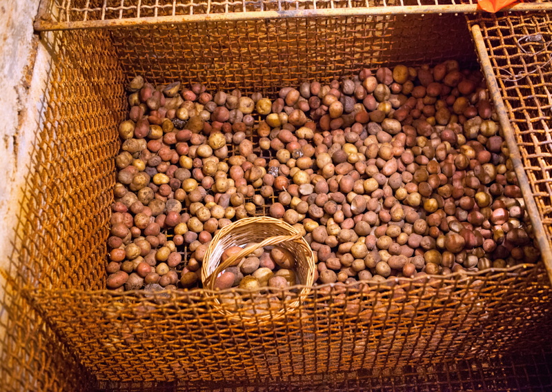 autumn, dig, eat, potato, ingredient, large group of objects, plant, agriculture, farmer, indoors, close-up, brown, natural, no people, animal themes, background