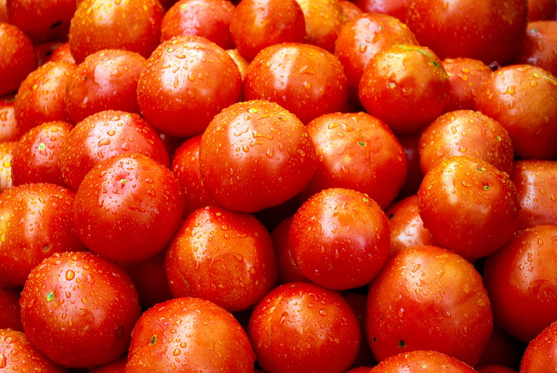 healthy, sweet, wisconsin market tomatoes, natural, large group of objects, red, crop, orange color, 2K, fresh, wisconsin, vegetable, healthy eating, garden