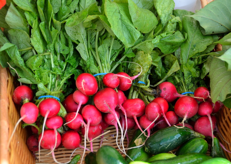 food, radishes, vegan, bundle, plant part, abundance, green color, salad, gardening, ingredient, root, garden, ripe, red radish, container, lot, freshness