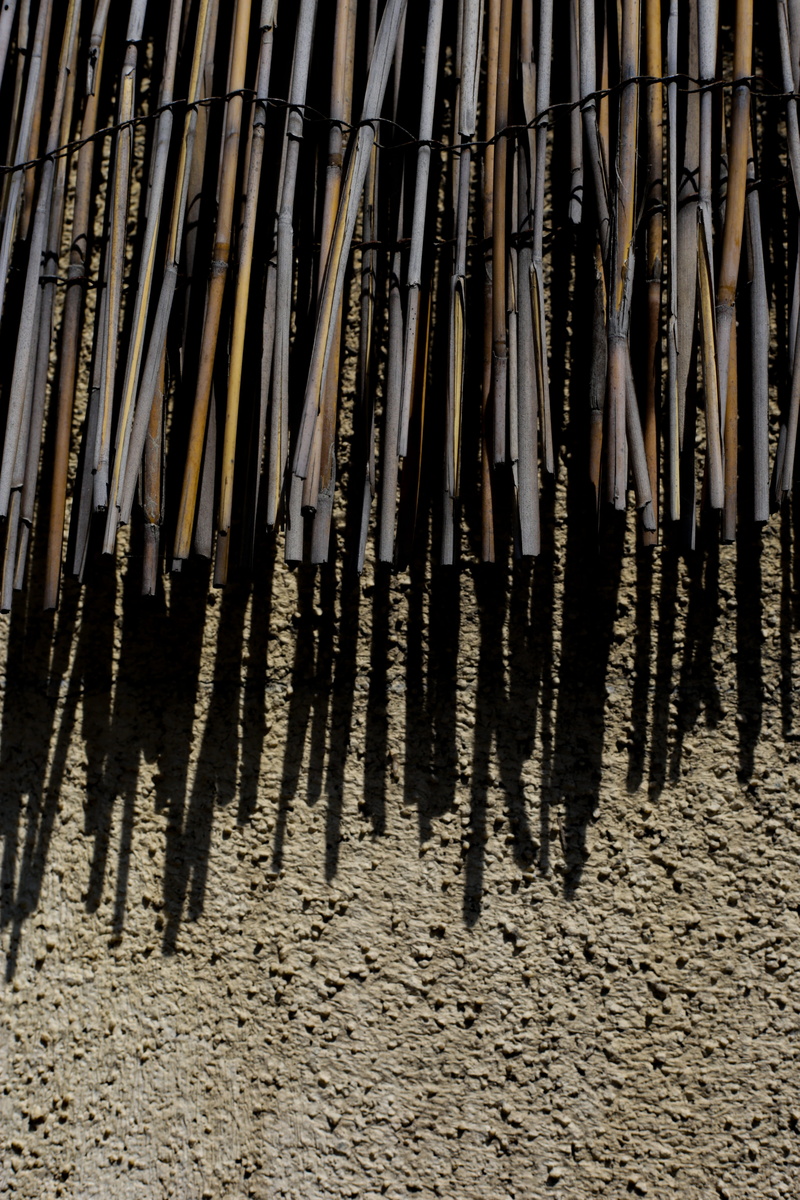 wall, rug, still life, oboe, in a row, bamboo - material, weapon, wood - material, no people, hanging, outdoors, 5K, arrangement, oars, pen, nature, weaponry