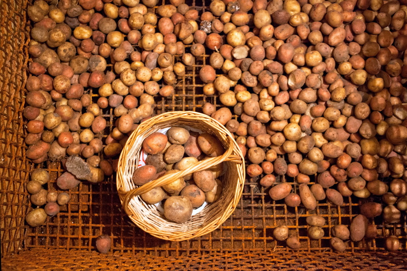 basket, cooking, background, raw, day, wellbeing, texture, large group of objects, food, farm, indoors, root, plant, vegetarian, earth, vegetable, healthy eating