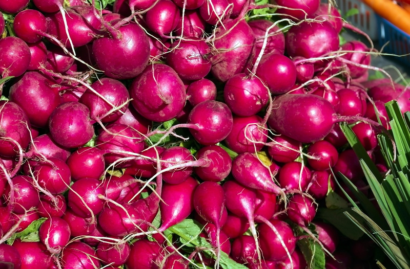 farmers market, red, wisconsin, 2K, natural, healthy, market, food, fresh radishes, agricultural, ripe, large group of objects, organic, fruit, close-up