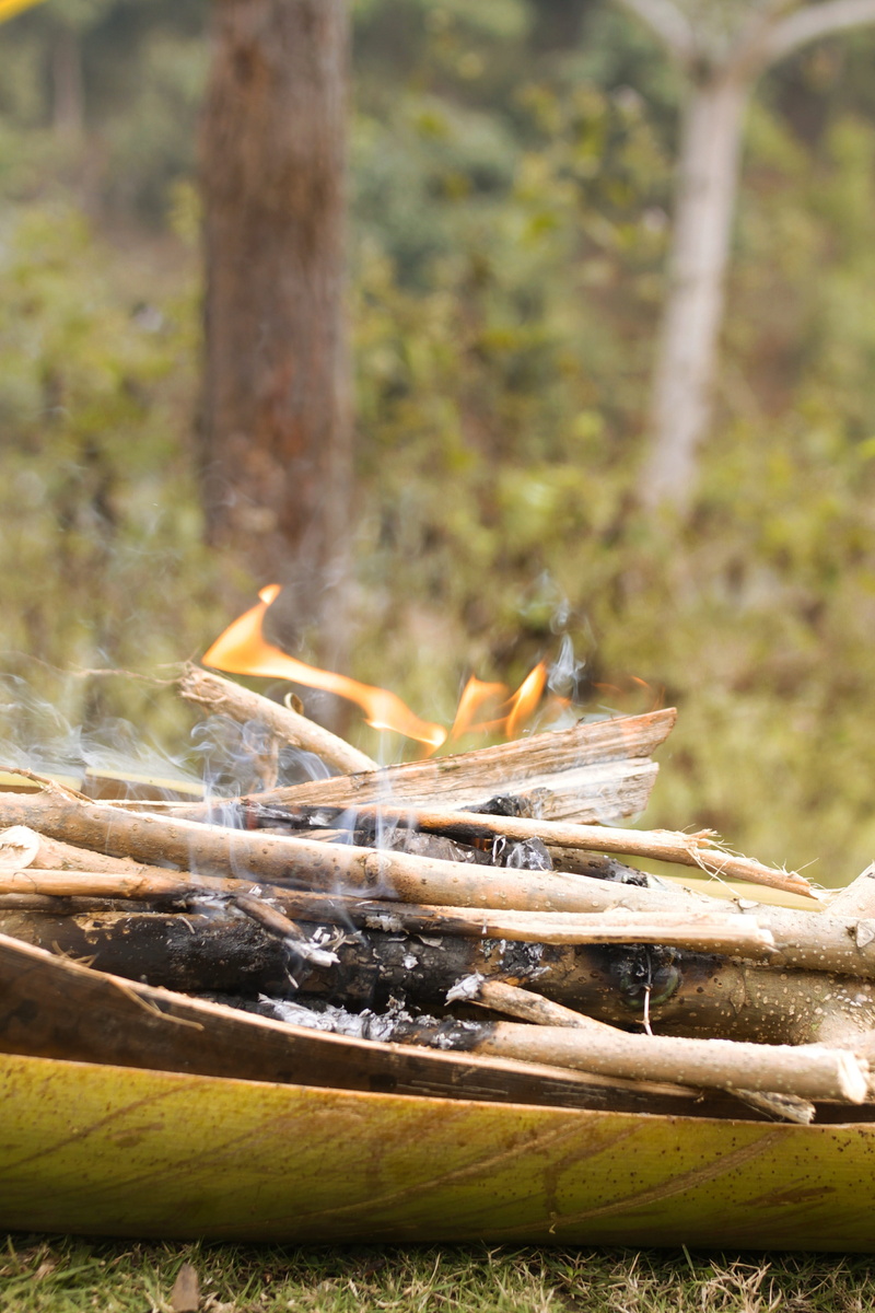 log, tree trunk, burning, focus on foreground, stick, deforestation, forest fire, forest, nature, smoke, day, close-up, timber, flame, outdoors, symbol