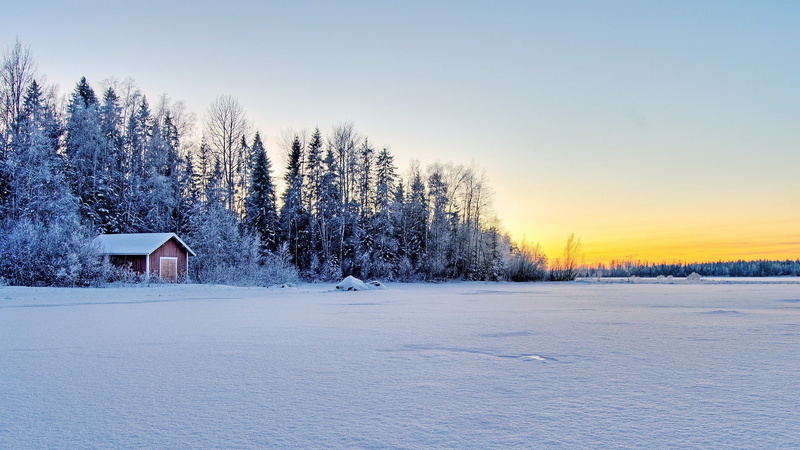 trees, landscape, wooden, white, winter, near, forest, frost, 1080P, house, hut, sunset, brown, snowfield