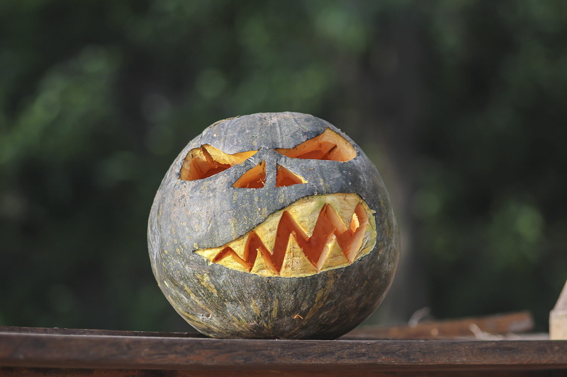 craft, halloween, celebration, color, uganda, wood - material, costume, party, traditional, food, ancient, animal, masquerade, ethnic, sign, kampala, pumpkin
