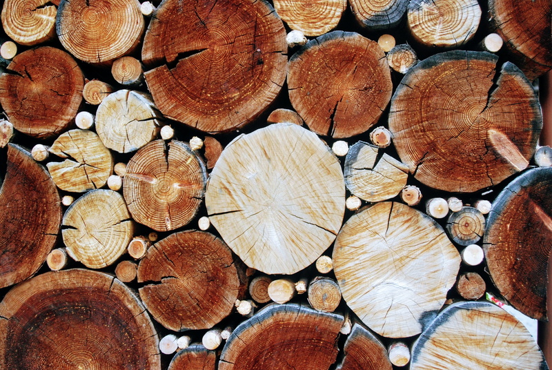 outdoors, large group of objects, firewood, tribe, 2K, day, fuel and power generation, full frame, tree trunk, wood grain, tree, no people, wood - material