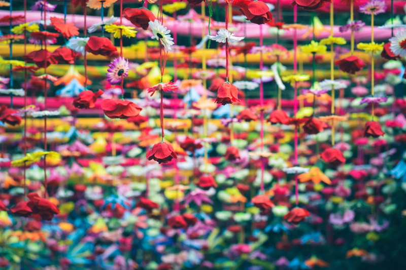 flowers, backgrounds, flower, craft, focus on foreground, large group of objects, sky, retail, variety, hanging, abstract, together, decor, yellow, pattern