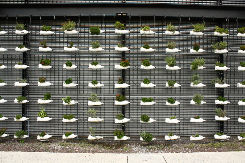 in a row, high angle view, tapestry, grid, no people, grate, side by side, nature, wall, healthy eating, metal grate, white color, outdoors, food, repetition