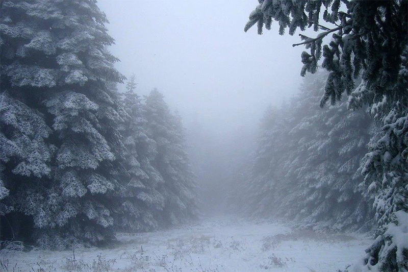 pinery, turkey, landscape, winter, beautiful, snow, 720P, bursa