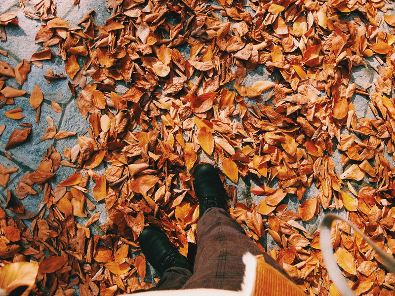 personal perspective, clothing, #bursa, nature, person, natural condition, change, leaves, overcoat, #fall, high angle view, orange color, autumn, leaf