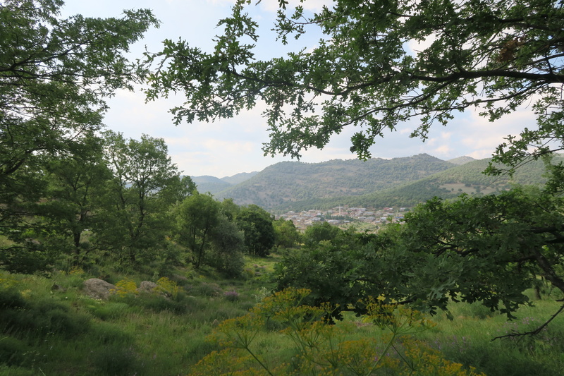 plant, growth, sky, seydisehir, mesudiye, scenics - nature, outdoors, environment, turkey, tree, 5K, landscape, spring, green color, no people, idyllic