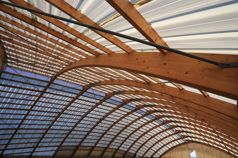 çatalhöyük, cumra, no people, 5K, ceiling, tent, girder, wood-fibre boards, modern, pillbox, low angle view, wood - material, ornate, curve, pattern, roof beam