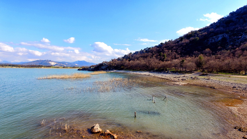 land, non-urban scene, day, tree, water, cloud - sky, forest, reed, lake beyşehir, scenics - nature, cloud, beauty in nature, 4K, tranquil scene, konya