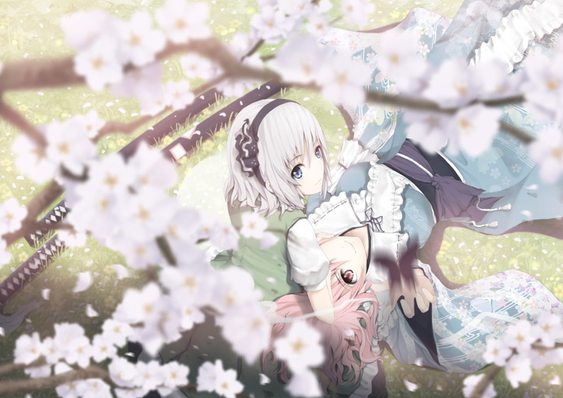 blue, eyes, tamamono, yuyuko, hair, 720P, konpaku, youmu, saigyouji, flowers, sword, butterfly, weapon, katana, touhou, pink, atae