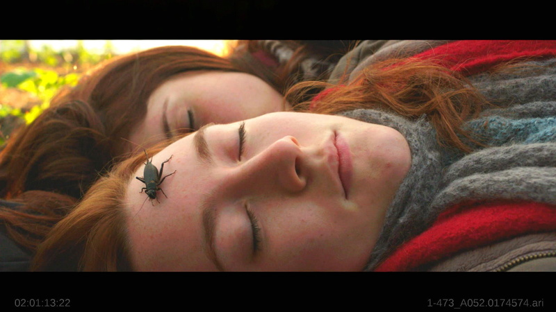 thriller, horror, 1080P, dark, drama, vampire, fantasy, byzantium