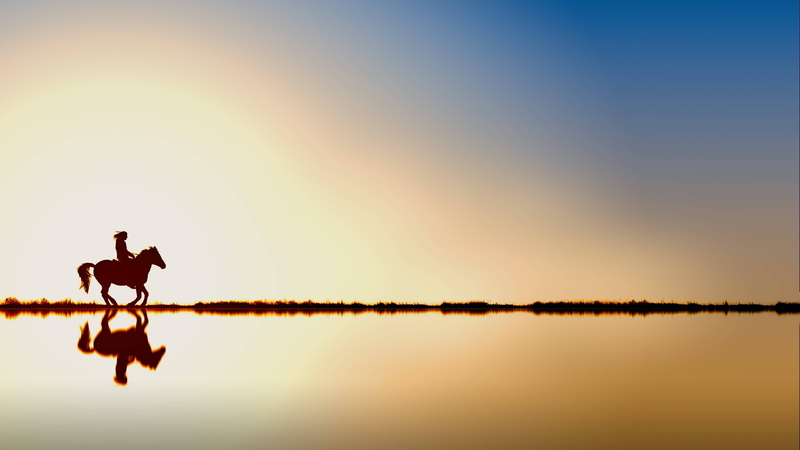waters, sunset, water, horse, dawn, reiter, sun, 5K, sky