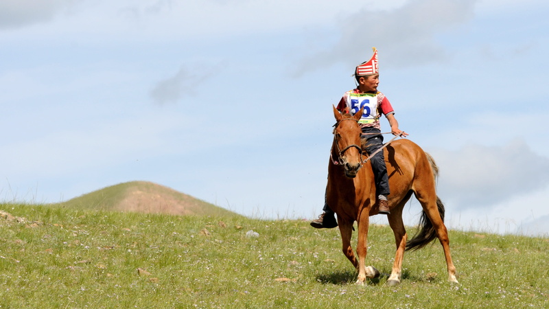herbivorous, animal, domestic, ride, horse, 4K, outdoors, activity, competition, reiter, riding, animal themes, mongolia, horseback riding, full length