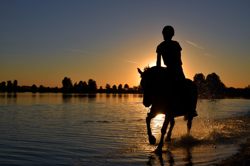 sunset, men, beauty in nature, animal, horse, leisure activity, lake, real people, sky, nature, lifestyles, riding, silhouette, domestic, mammal, ride