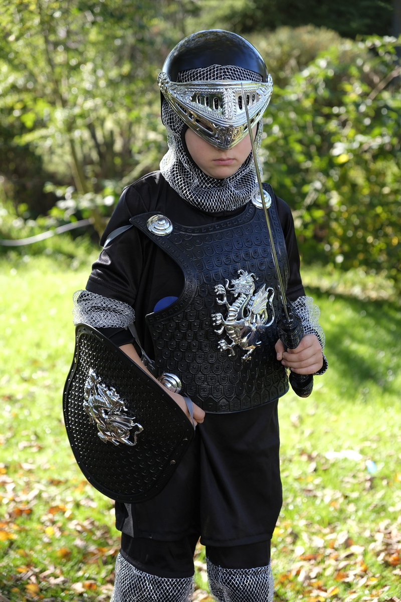 weapon, field, child, plant, fight, green color, ward, protect, one person, defense, sword, tree, lifestyles, clothing, three quarter length, front view