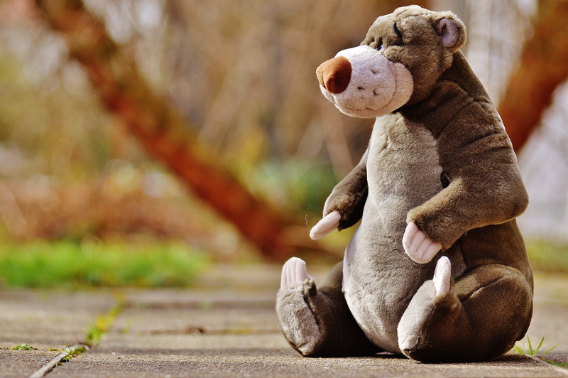 floor, play, plush, out, day, 5K, footpath, cute, bear, childhood, outdoors, soft toy, sitting, grey, autumn, mammal, representation, people, stuffed animal