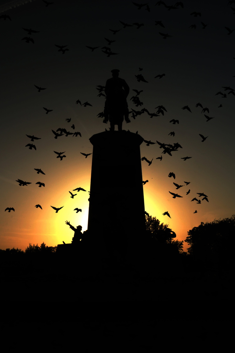 sunset, bird, dusk, architecture, orange, health, built structure, landscape, sky, animal, happy, large group of animals, moon, atatürk, leader, brid, sunlight