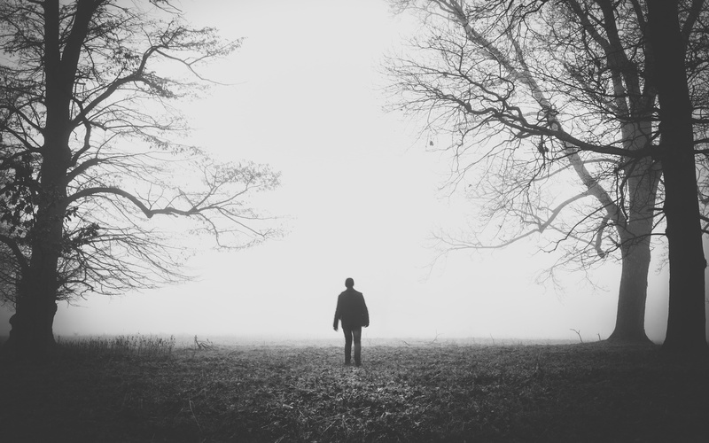 fog, people, 5K, branches, trees, field, ago
