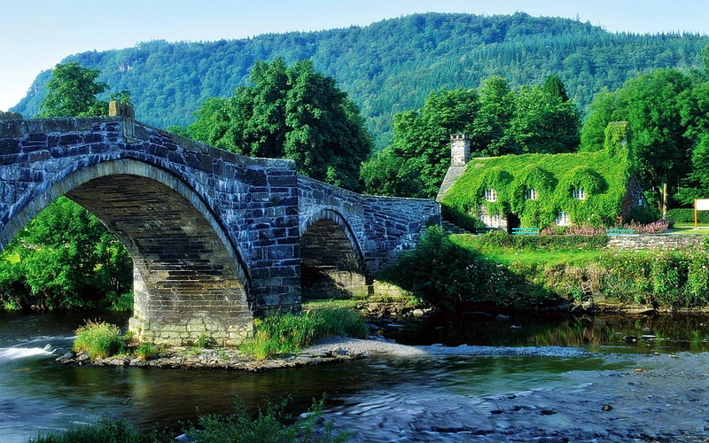 countryside, heart, animals, architecture, houses, deep, 1080P