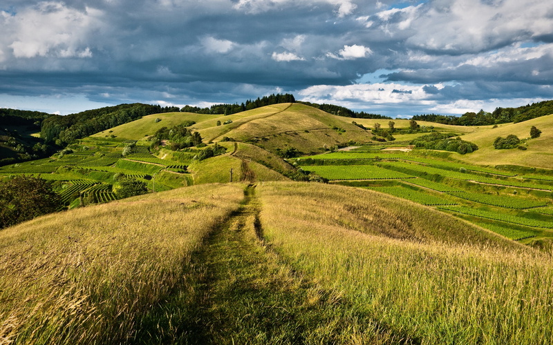 Grass, Countryside, Hills, Forest, Road, Meadow, 2K, Sky, Fields, Clouds