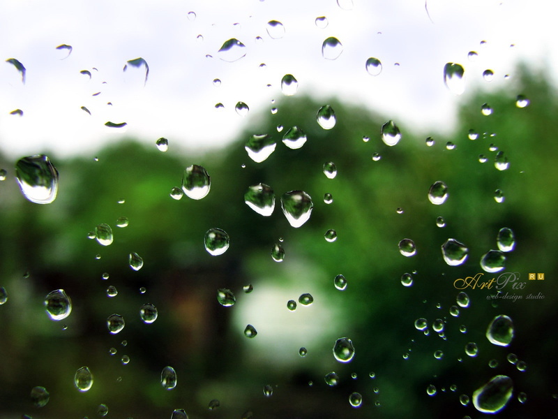 rain, beauty in nature, wet, window, no people, day, transparent, 720P, close-up, drop, nature, dew, plant, green color, water, full frame, freshness
