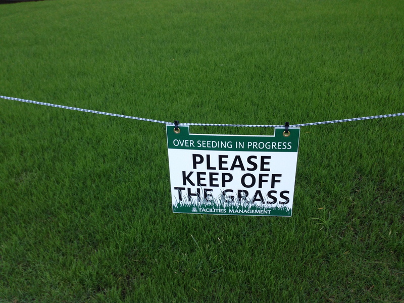safety, grass, high angle view, rules, information sign, warn, sign, communication, plant, soccer field, 2K, land, nature, no people, growth, keep off