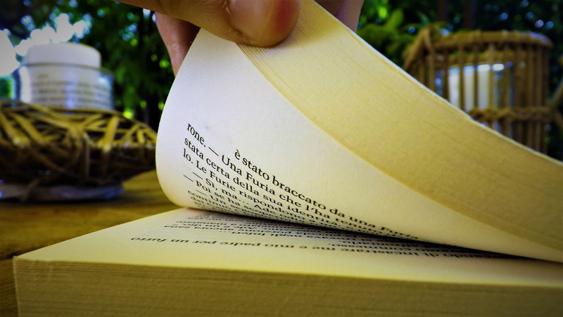 body part, percy, paper, focus on foreground, summer, open book, book, page, real people, text, pages, day, culture, jackson, library, unrecognizable person