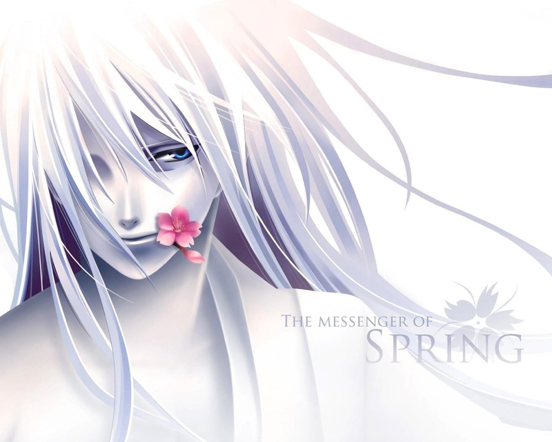 indoors, white background, spring, representation, studio shot, education, messenger, connection, text, still life, messenger of spring, reflection