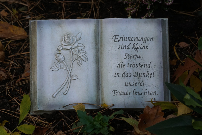 mourning, rose, paper, outdoors, script, plant part, close-up, western script, cemetery, saying, 5K, leaf, day, high angle view, book, no people, all saints