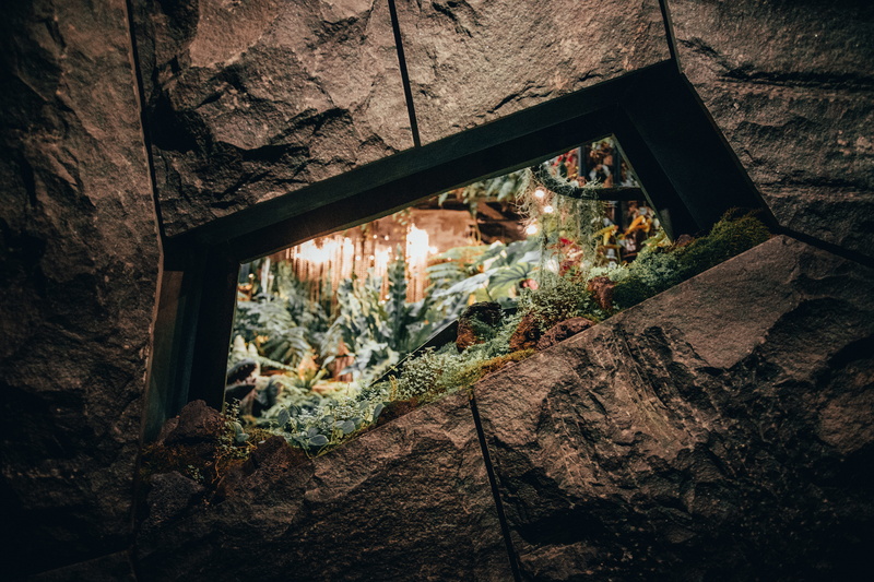 plant, wood - material, damaged, wall, no people, concrete, leafed, stone wall, indoors, tree, wall - building feature, gray, day, house, candle, 5K, framed