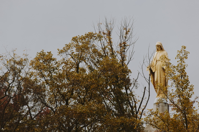 branch, national shrine grotto of our lady of lourdes, sculpture, male likeness, belief, spirituality, no people, mary, art and craft, low angle view, day