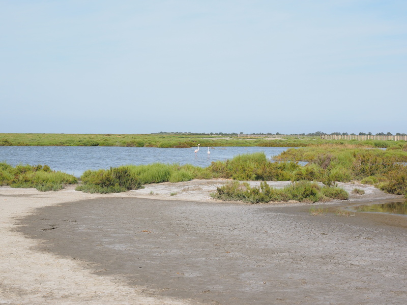 sand, france, land, nature park camargue, 4K, day, beauty in nature, non-urban scene, sea, tranquility, saltwater-lagoon, nature, lagoon, beach, no people