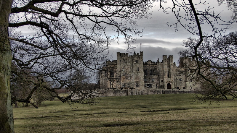outdoors, grass, nature, sky, cloud - sky, 1080P, building, the past, architecture, old, tree, plant, raby castle, land, history, old ruin, castle, ruined