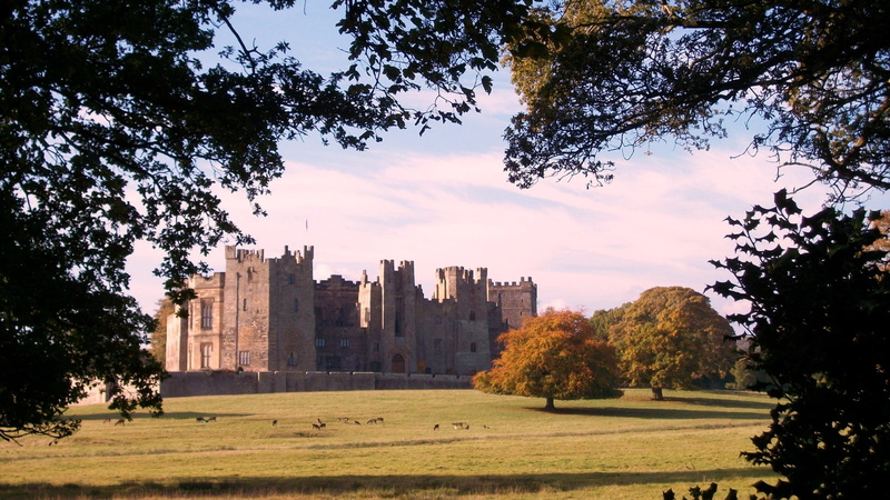 building exterior, building, apartment, nature, city, day, built structure, autumn, plant, park, outdoors, the past, grass, raby castle, no people, tree