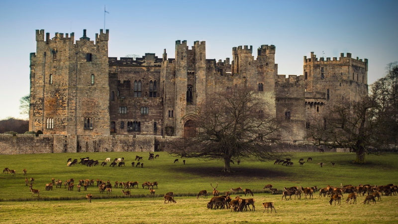 Raby Castle, 1080P, Castles