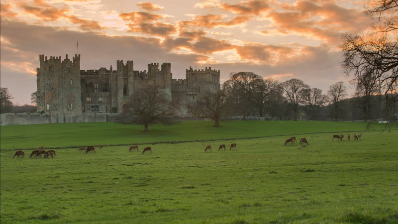1080P, raby castle