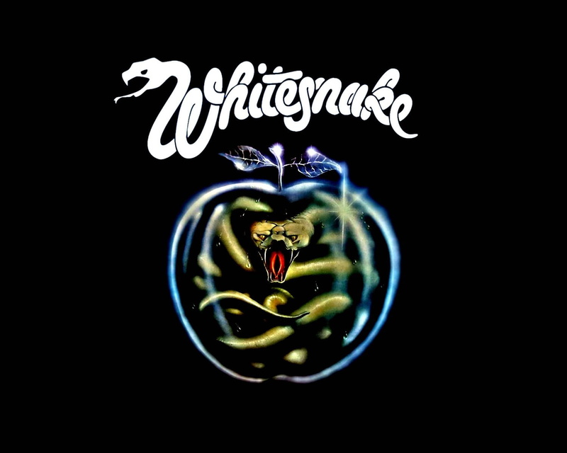 720P, heavy, metal, rock, whitesnake, poster, hard, hair