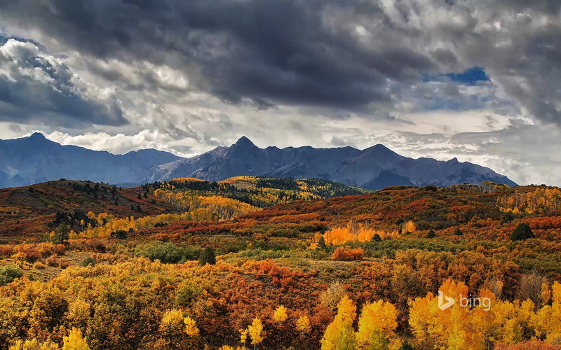 bing, yellow, 1080P, mountain range, autumn collection, mountain, semi-arid, theme, beauty in nature, forest, trees, landscape, land, fall