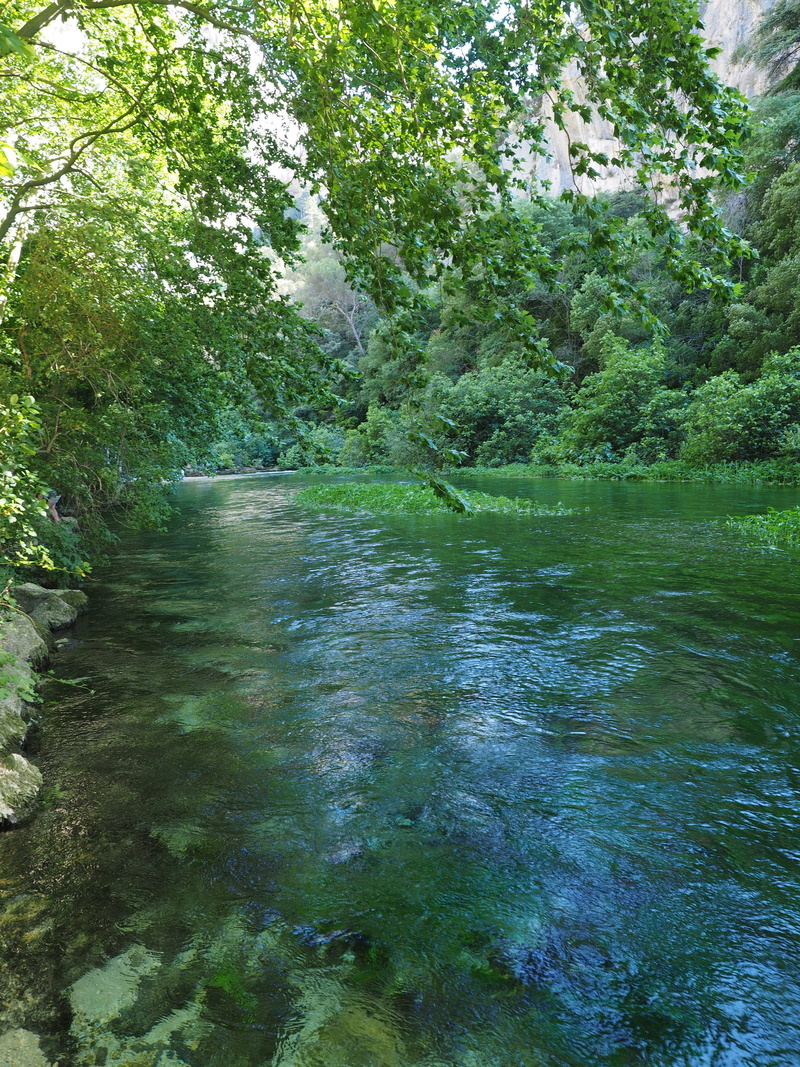 day, flowing water, water, blue, river, tranquility, plant, sorgue, green color, growth, 4K, frisch, no people, tree, foliage, outdoors, scenics - nature